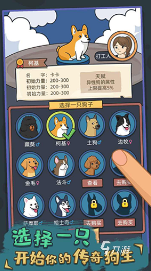 戏盘点 2025经典的小狗的游戏大全AG真人娱乐受欢迎的狗喜欢玩的十种游(图7)