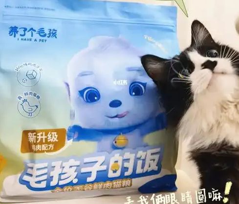 子口粮！三只松鼠靠什么重返宠物食品赛道ag真人平台第一游戏零食巨头盯上毛孩