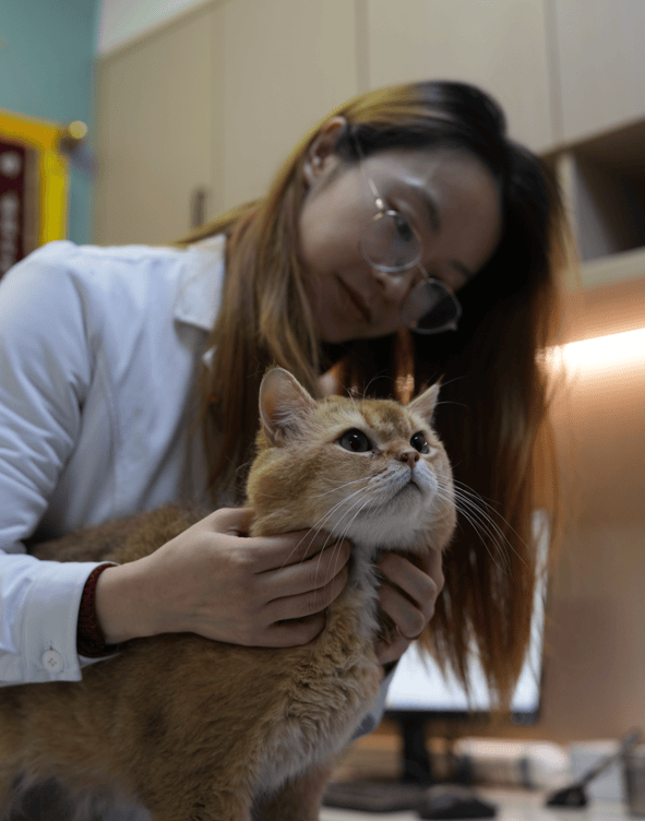 ：3000亿市场激战伊利、小米都在抢“毛孩子”AG真人百家家乐app中国宠物经济