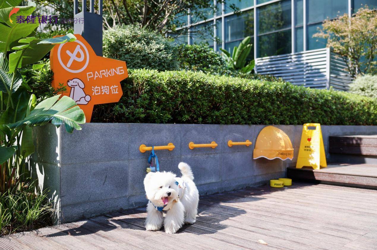 行温州分行打造“宠物友好型”特色网点AG